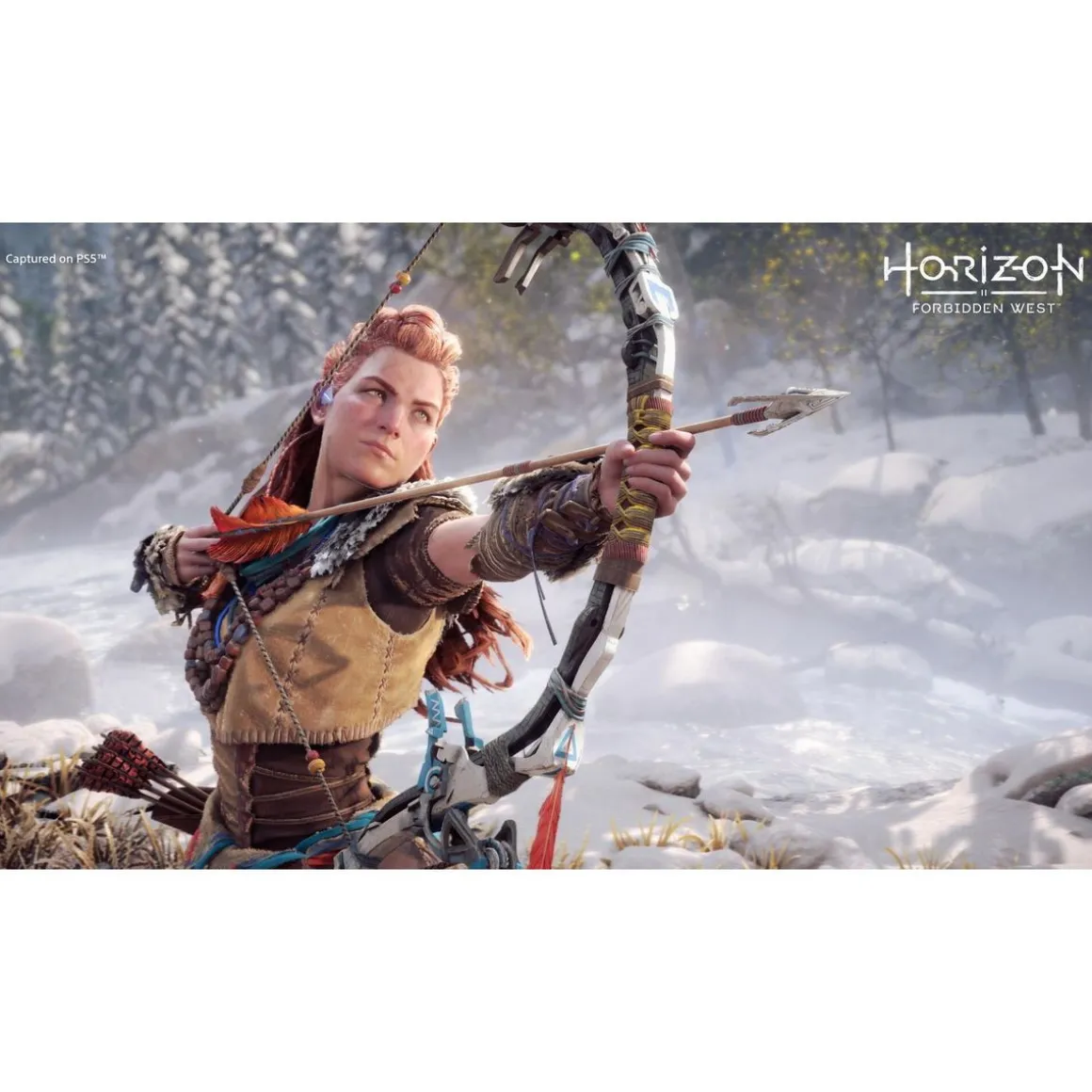 Horizon : Forbidden West PS5