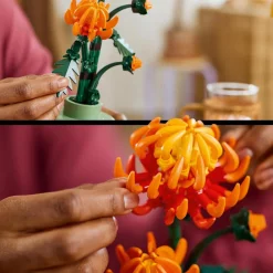 Icons 10368 - Chrysanthème Collection Botanique