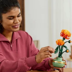 Icons 10368 - Chrysanthème Collection Botanique