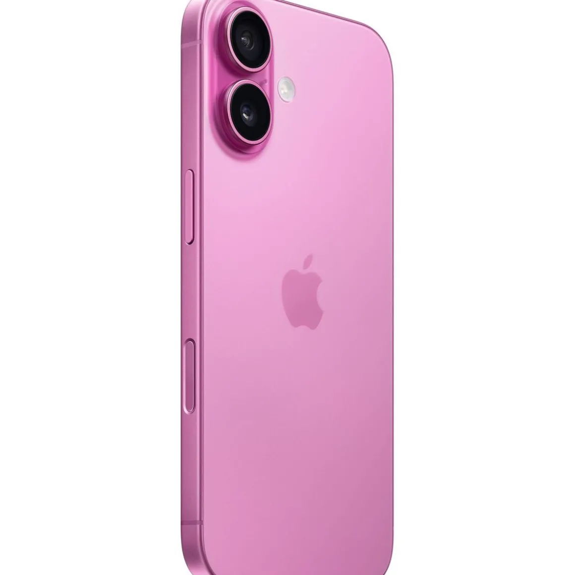iPhone 16 256Go - Rose