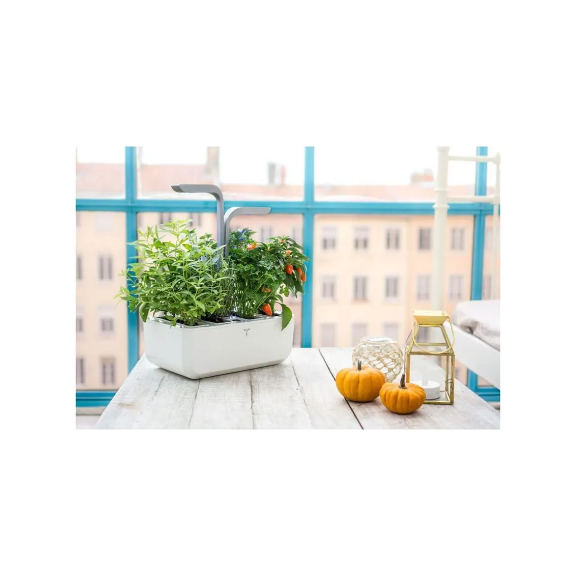 Jardin d'intérieur Classic Blanc