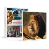 Journée fascinante au Parc Zoologique de Paris pour 2 adultes - Coffret Cadeau Sport & Aventure