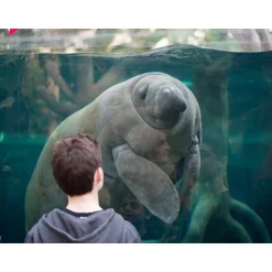 Journée fascinante au Parc Zoologique de Paris pour 2 adultes - Coffret Cadeau Sport & Aventure