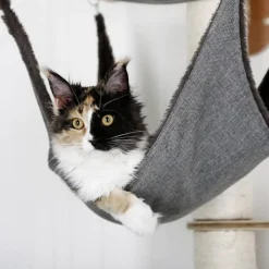 Kerbl Arbre a chats mural Dolomit 2.0 Tofana Gris 160 cm 81545