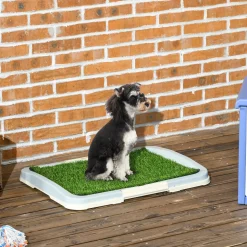 Litière gazon synthétique chien toilette portable à pelouse tiroir à déjection dim. 63L x 48l x 6H cm