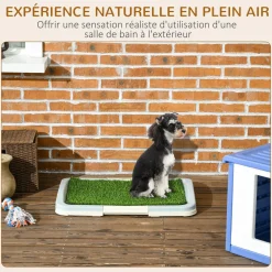 Litière gazon synthétique chien toilette portable à pelouse tiroir à déjection dim. 63L x 48l x 6H cm