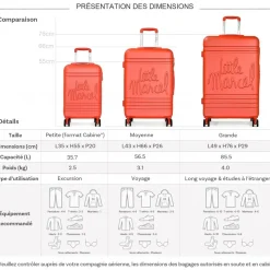 Lot 3 valises dont 1 valise cabine rigides