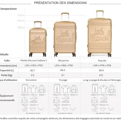 Lot 3 valises dont 1 valise cabine rigides