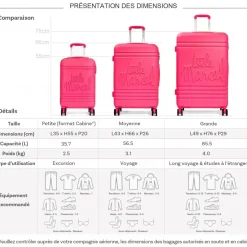Lot 3 valises dont 1 valise cabine rigides