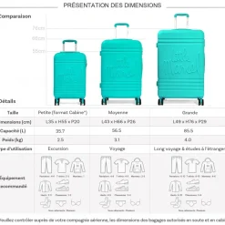 Lot 3 valises dont 1 valise cabine rigides