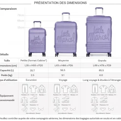 Lot 3 valises dont 1 valise cabine rigides