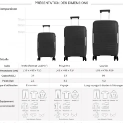 Lot 3 valises rigides dont 1 cabine TSA