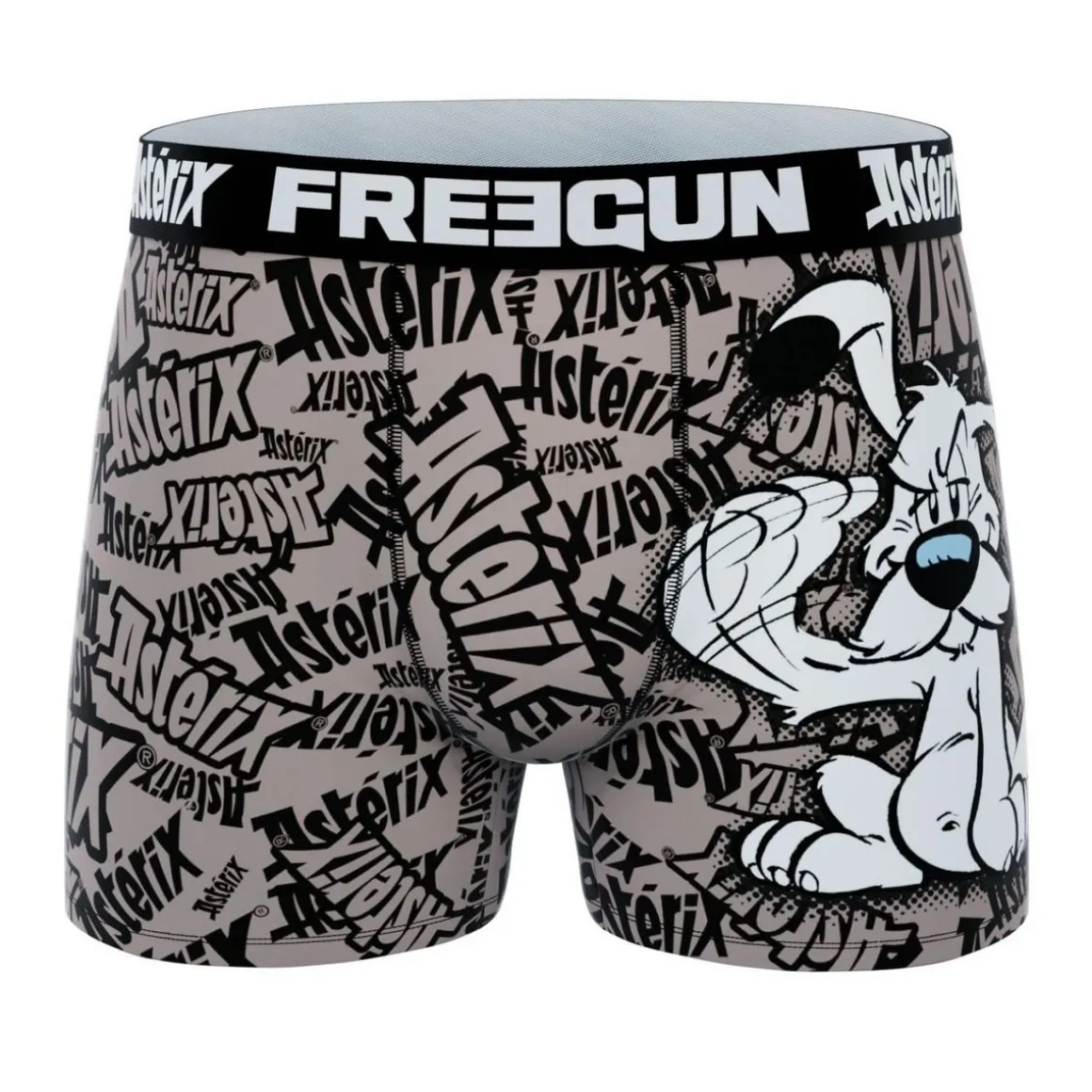 Lot de 4 boxers enfant Astérix