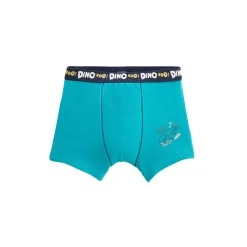 Lot de 2 boxers garçon Dino