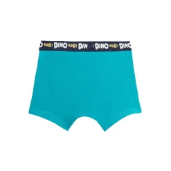 Lot de 2 boxers garçon Dino