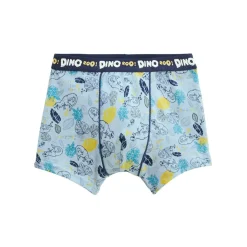 Lot de 2 boxers garçon Dino