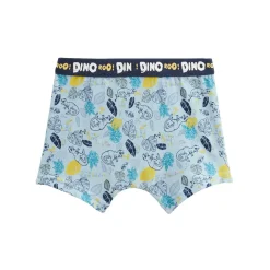 Lot de 2 boxers garçon Dino