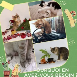 Lot de 2 griffoirs grattoirs murals design cactus dim. 30L x 60H cm jute naturelle écru verte aspect bois clair