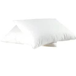 Lot de 2 Oreillers Moelleux en polyester Anti-Acariens 500gm/2 MAISON