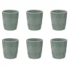 Lot de 6 Tasses Design Zoé 22cl Vert