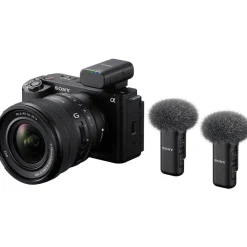 Micro Micro sans fil digital 2 Canaux