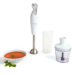 Mixeur plongeant Daily chef DD552110 - Blanc