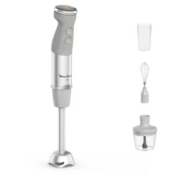 Mixeur plongeant DD673B10 - Gris