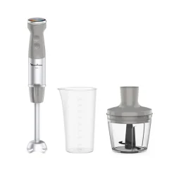 Mixeur plongeant DD673B10 - Gris