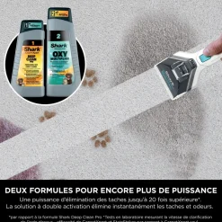 Nettoyant pour Stain Stricker PX200EUT