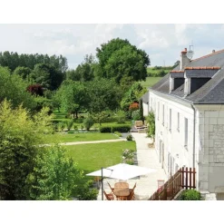 Noces de bois : 5e anniversaire de mariage de rêve ! - Coffret Cadeau Multi-thèmes