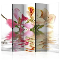 Paravent 5 Volets Tropical Flowers Orchid Tree Bauhinia 172x225cm