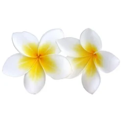 Parfum pour savon 27 ml - Monoï