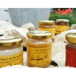 Participez à la sauvegarde des abeilles avec 1 an de parrainage d'une ruche - Coffret Cadeau Multi-thèmes