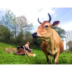 Partie de golf en famille ou entre amis au milieu des animaux - Coffret Cadeau Sport & Aventure