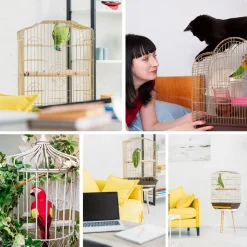 PawHut Cage à oiseaux volière avec mangeoires perchoirs plateau amovible dim. 48L x 36l x 91H cm métal PS noir