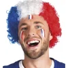 Perruque Afro Supporter France