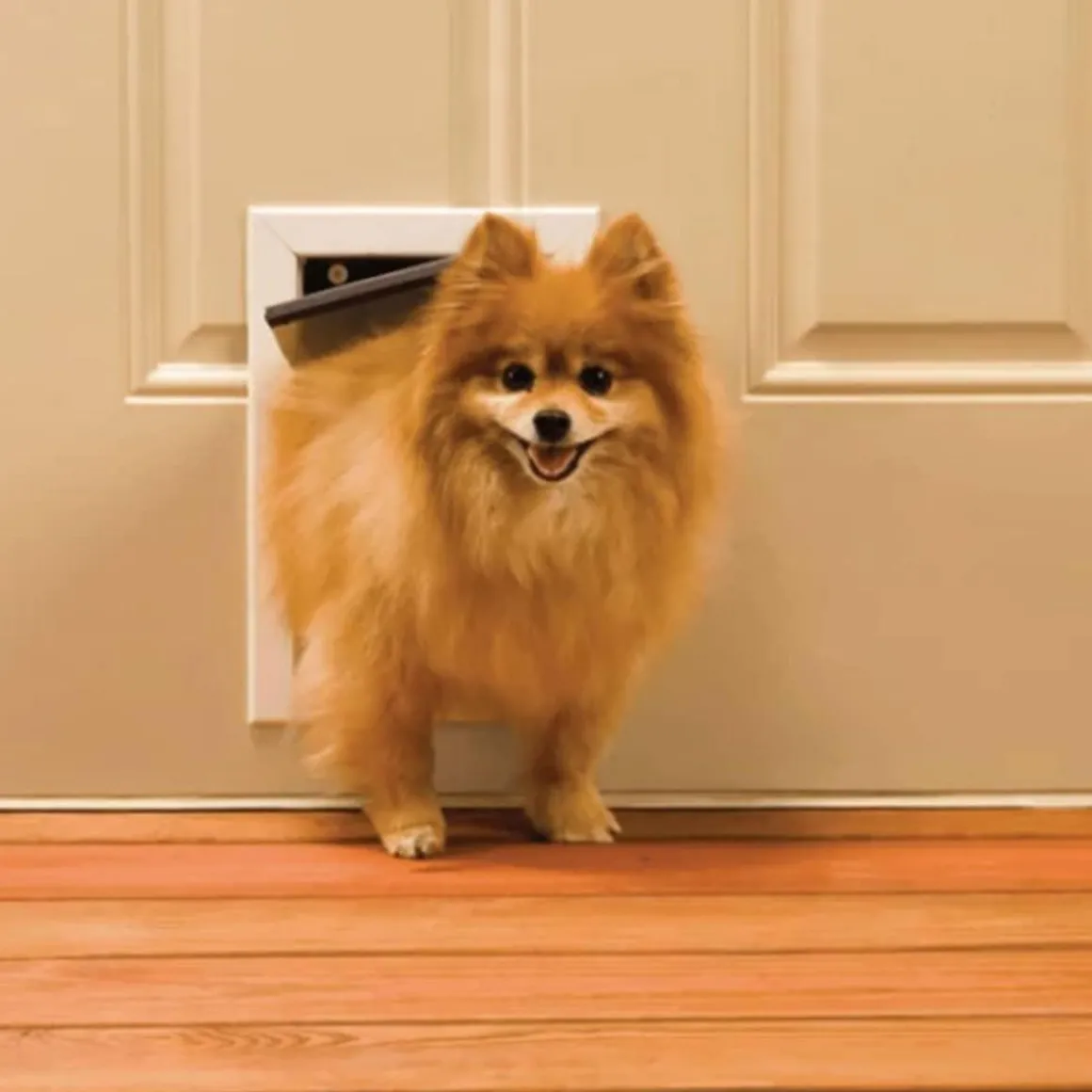 PetSafe Chatiere pour animaux de compagnie 600 Aluminium <7 kg 5013