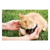 PETSAFE Collier supplementaire Special Chat
