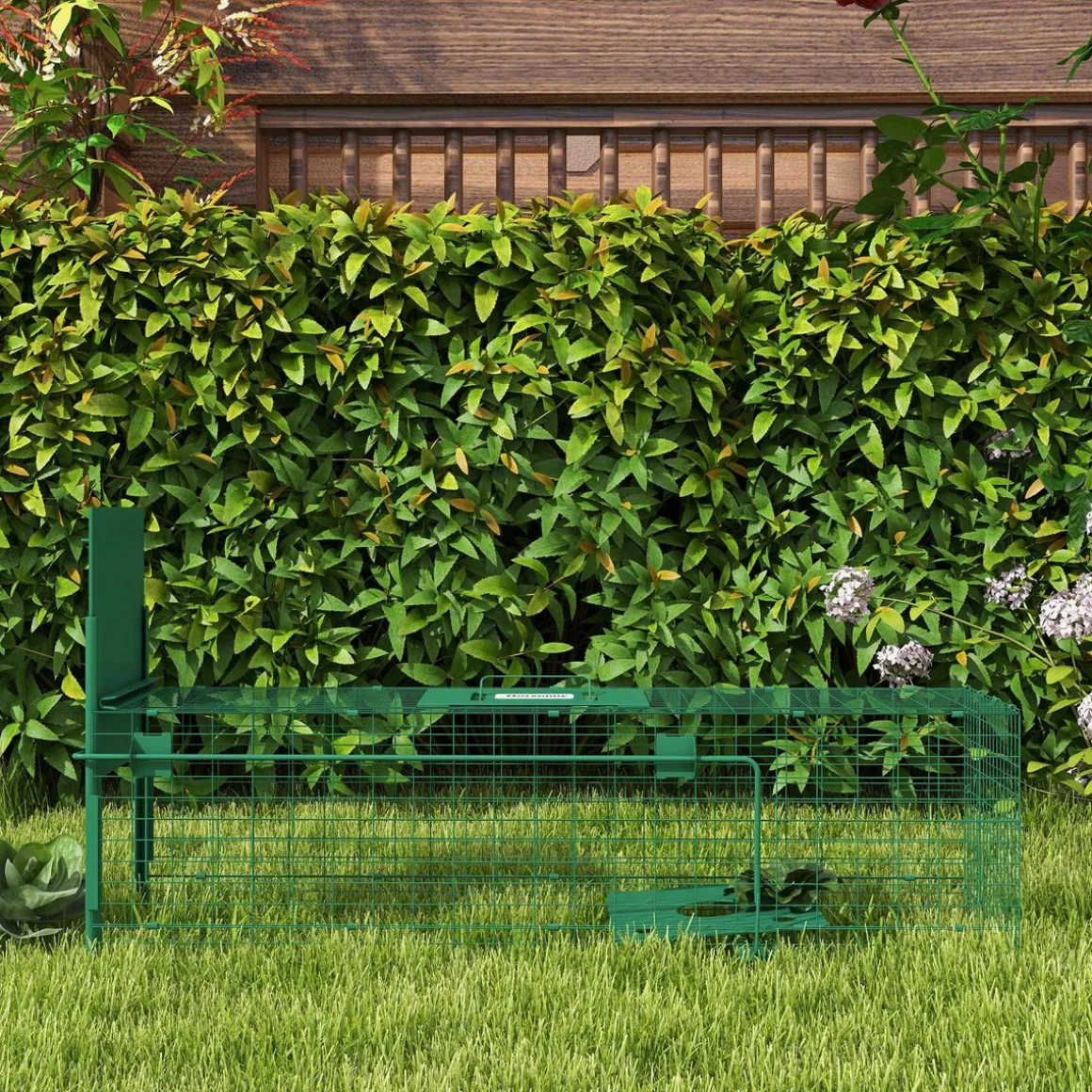 Piège de capture pour petits animaux type lapin rat - entrée, poignée - dim. 100L x 25l x 28H cm - acier vert