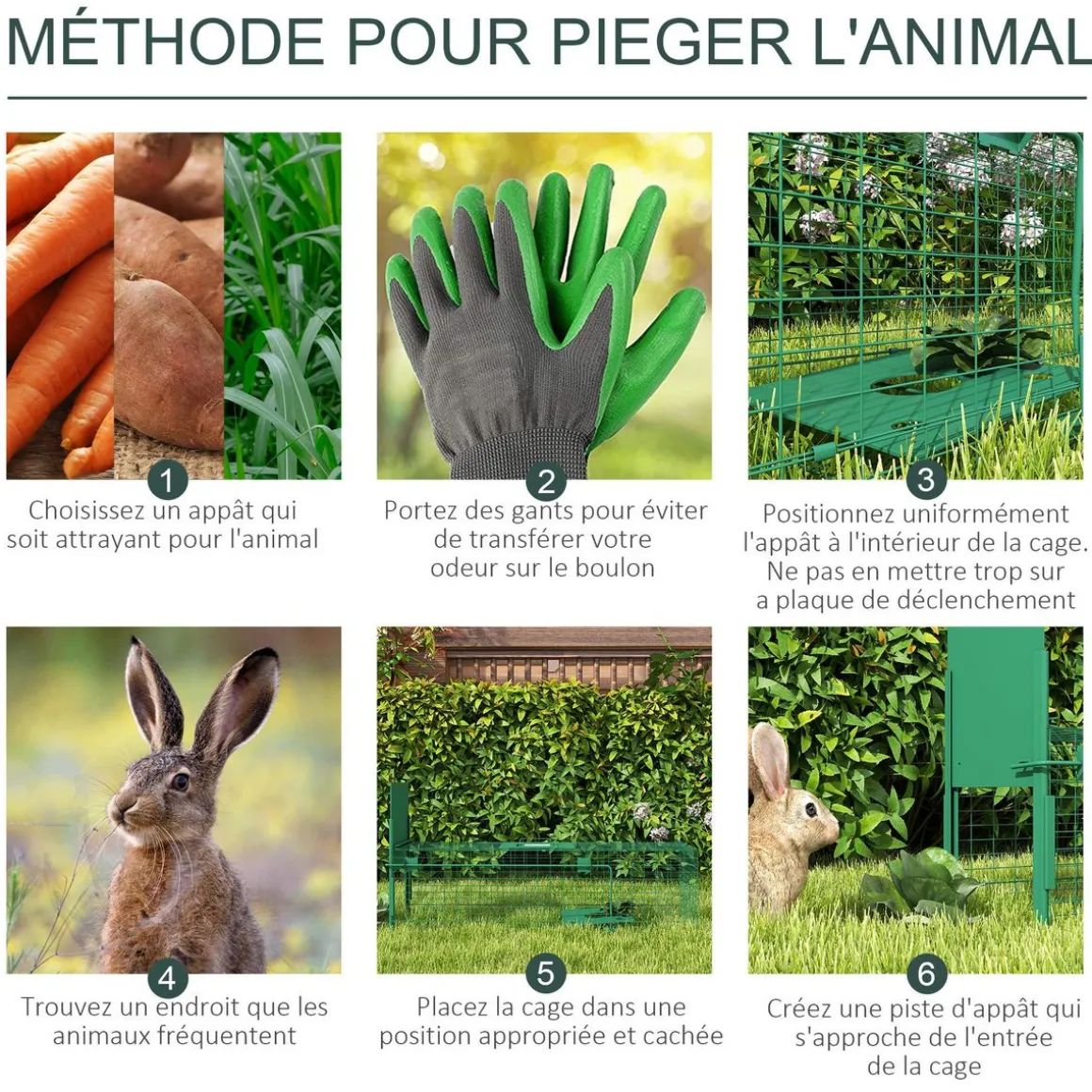 Piège de capture pour petits animaux type lapin rat - entrée, poignée - dim. 100L x 25l x 28H cm - acier vert