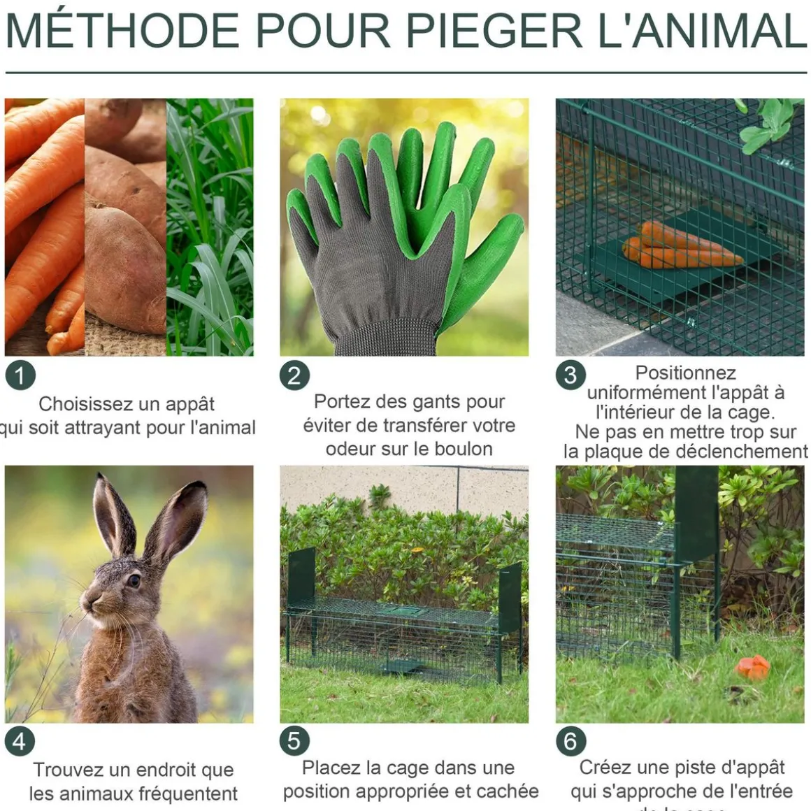 Piège de capture pour petits animaux type lapin rat - 2 entrées + poignée - dim. 80L x 25l x 30H cm - métal vert