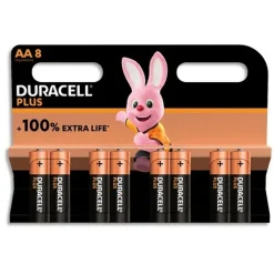 Piles Alcalines AA Plus 100% - Lot de 8 piles