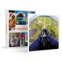 Pilote d'un jour en Californie : vol de 45 minutes en jet militaire L-39 Albatros - Coffret Cadeau Sport & Aventure