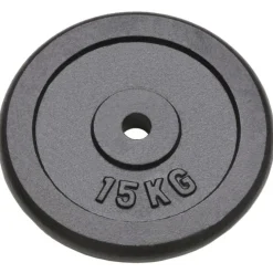 Plaque de poids 2 pcs 2x15 kg Fonte