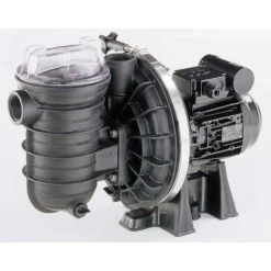 Pompe piscine Sta-rite - Spéciale eau salée - 3/4 cv triphasé