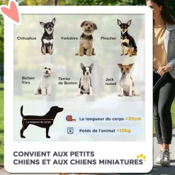 Poussette buggy pliable animaux chariot pliant chien chat porte-gobelet panier de rangement inclus roues avec frein tissu 600D Oxford métal rouge