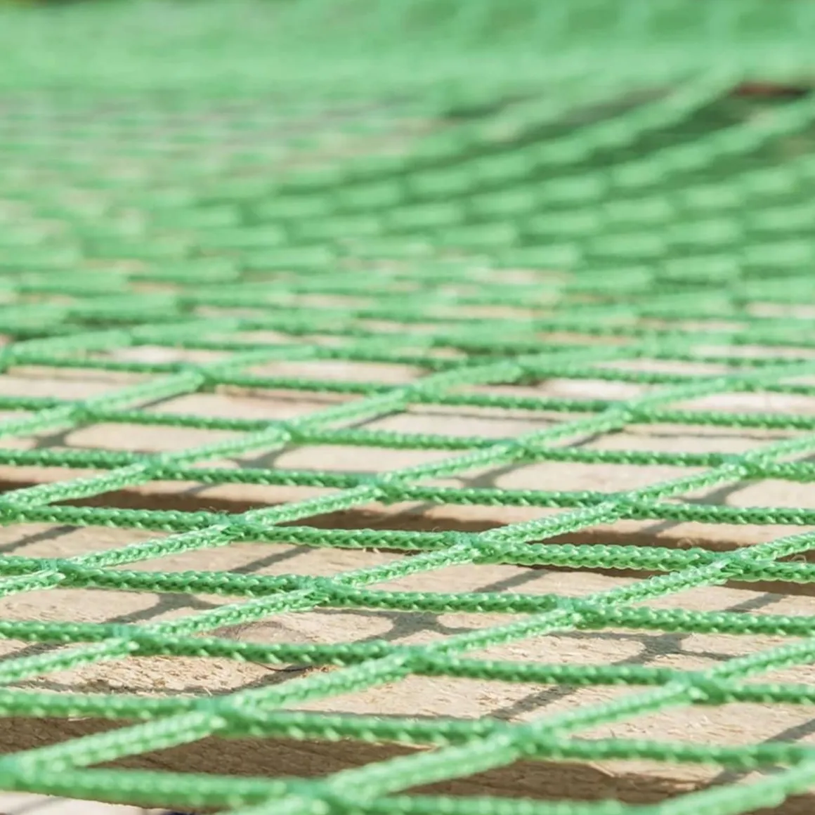 ProPlus Filet pour remorque 1,5x2,2 m avec corde elastique