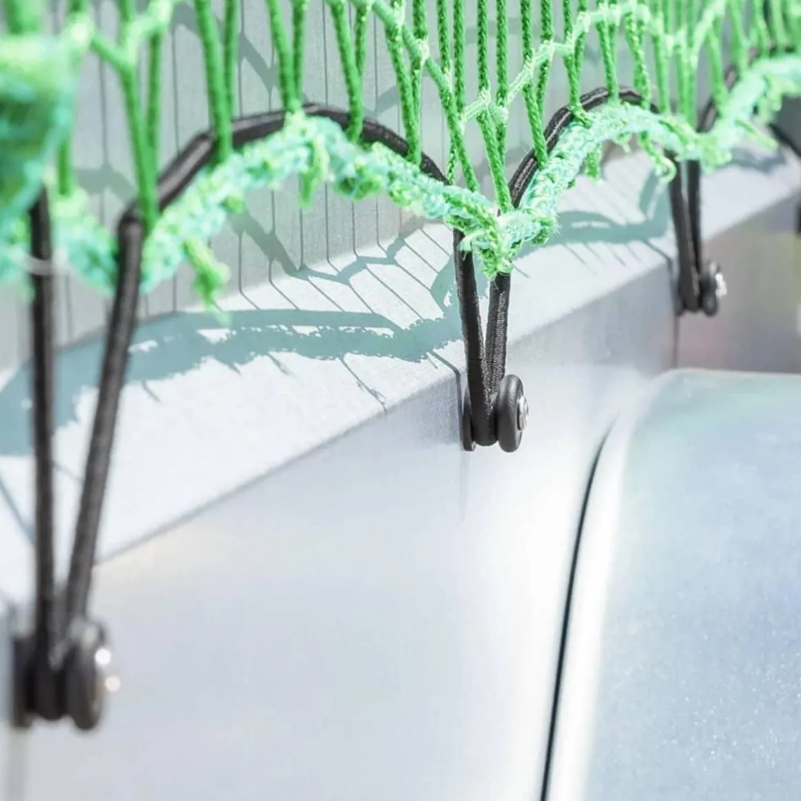 ProPlus Filet pour remorque 1,5x2,2 m avec corde elastique