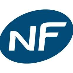 Radiateur électrique à inertie fonte TANA Blanc Fonte 1000W