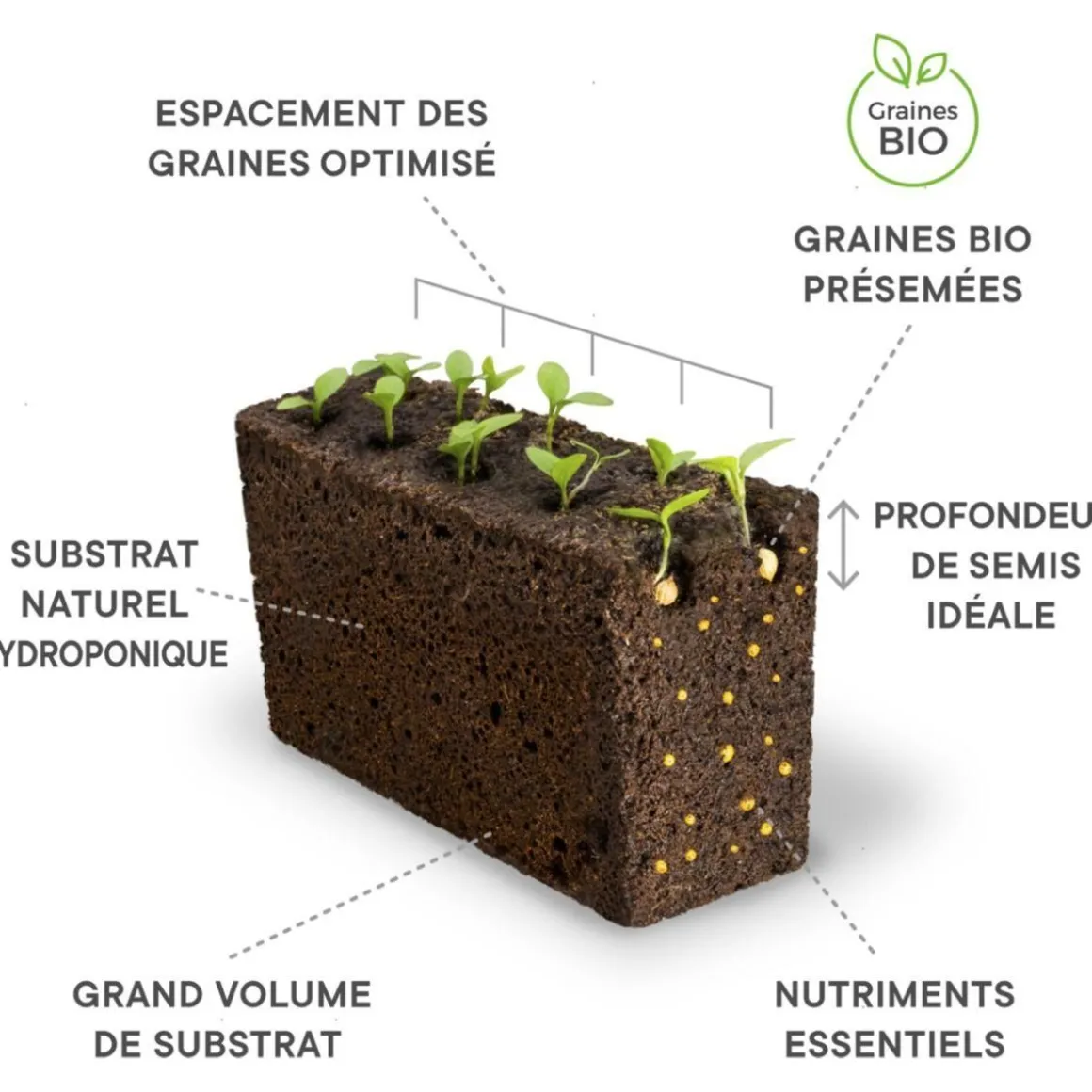 Recharge jardin d'intérieur Origan BIO